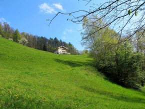  Apartment Achtalgut-1  Ленд